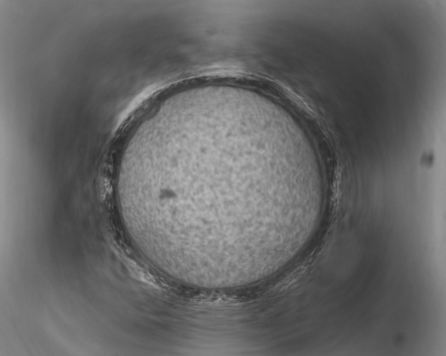 X0000115611400200912011539