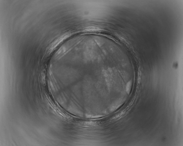 X0000115611401200912011539