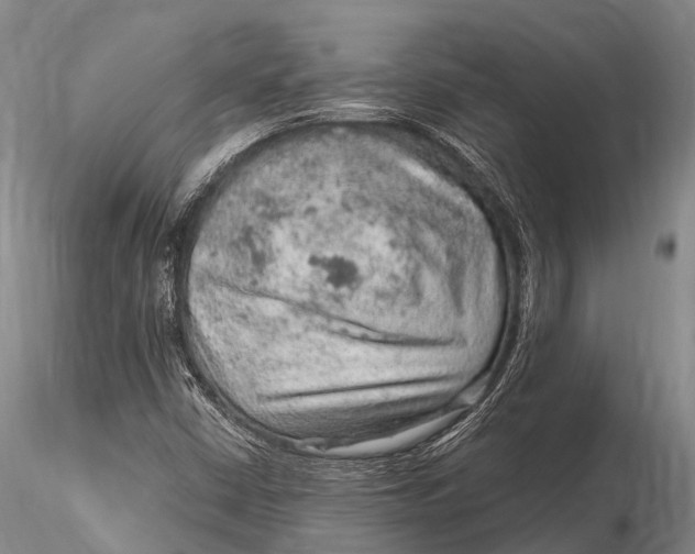 X0000115611402200912011539