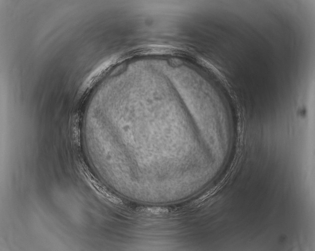 X0000115611403200912011539