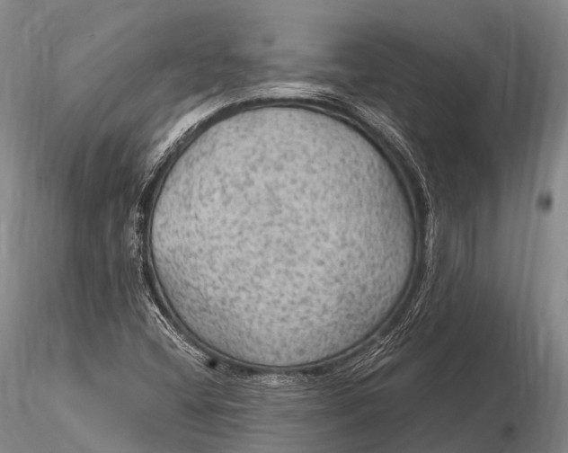 X0000115611404200912011539
