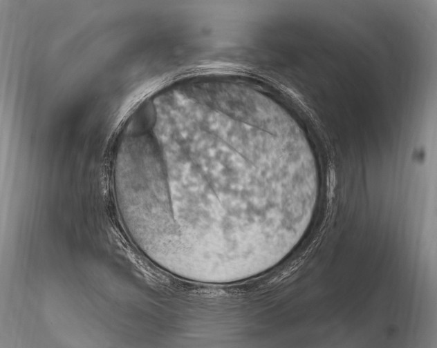 X0000115611405200912011539