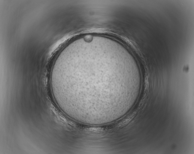 X0000115611406200912011539