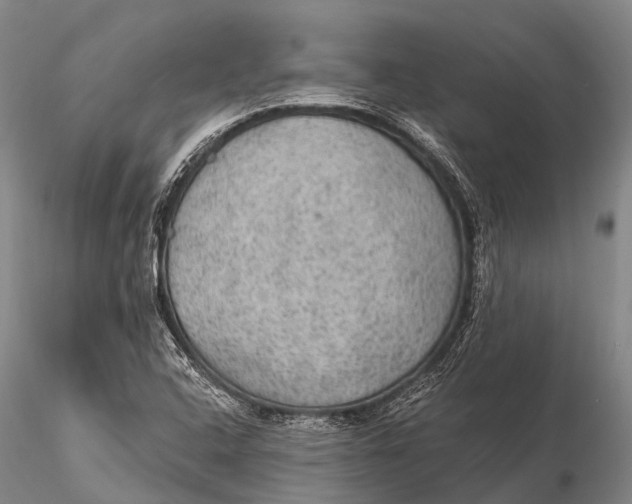 X0000115611408200912011539