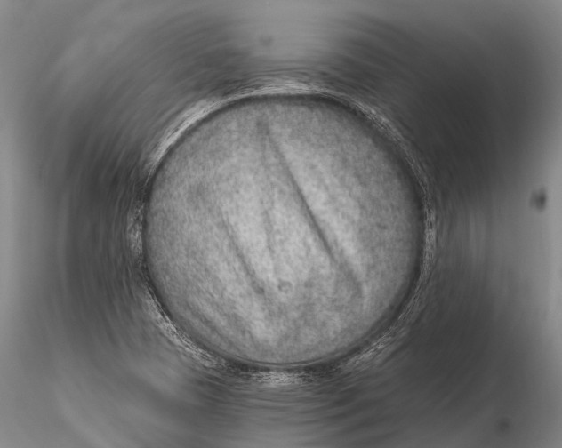 X0000115611409200912011540