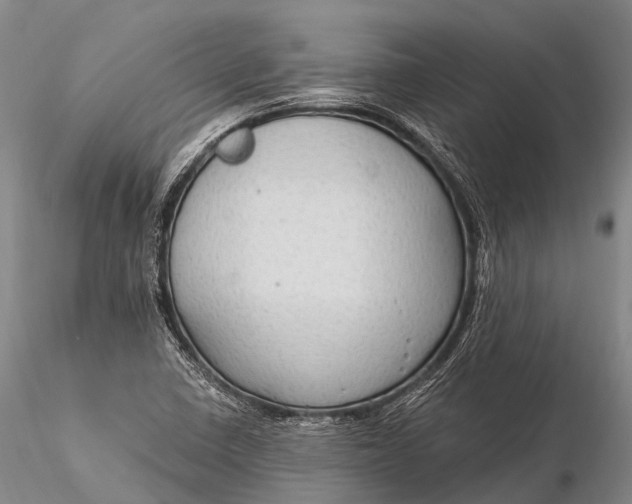 X0000115611410200912011540