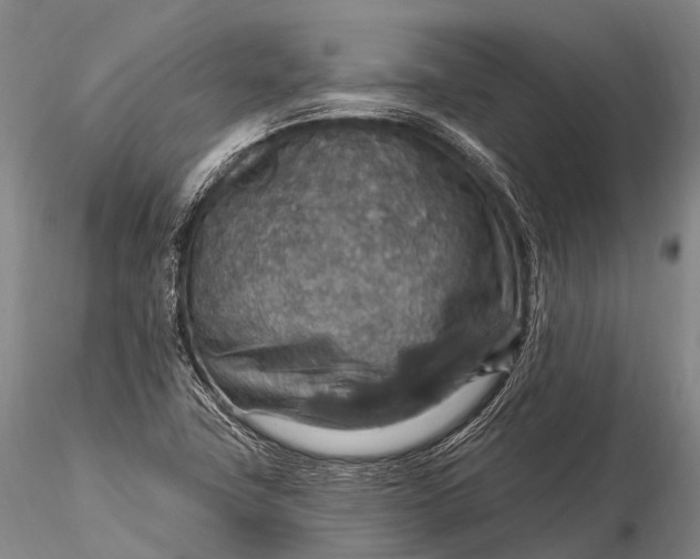 X0000115611411200912011540