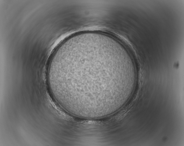 X0000115611412200912011540