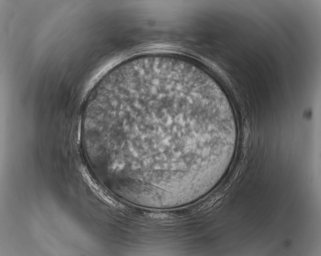 X0000115611413200912011540