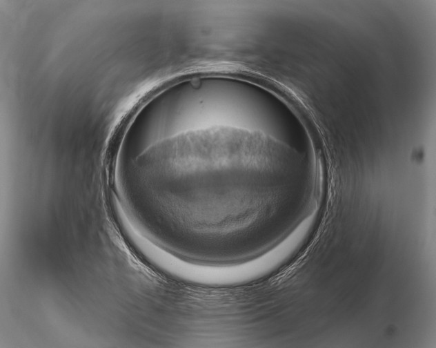 X0000115611414200912011540