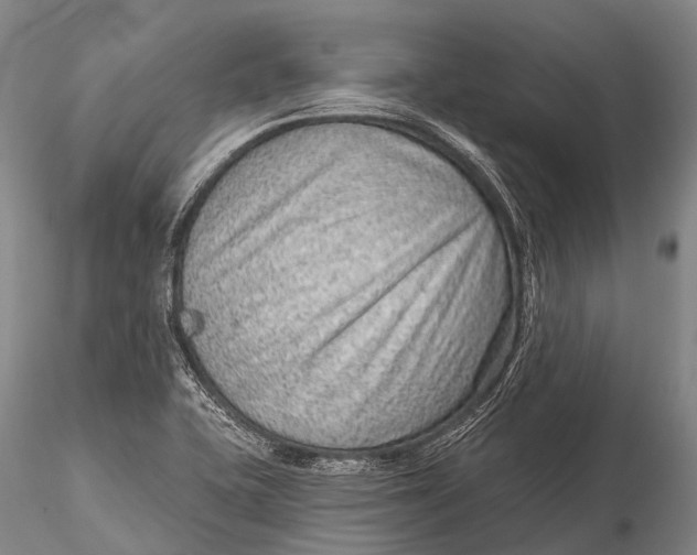 X0000115611415200912011540