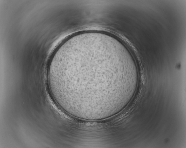 X0000115611416200912011540