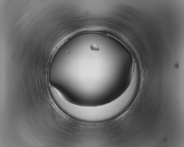 X0000115611417200912011540