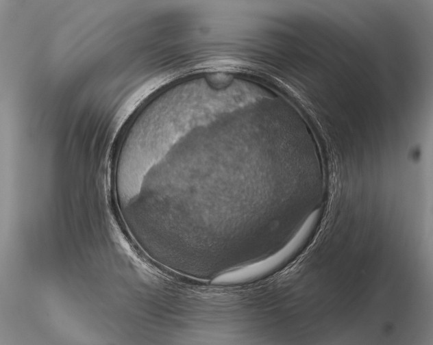 X0000115611418200912011540
