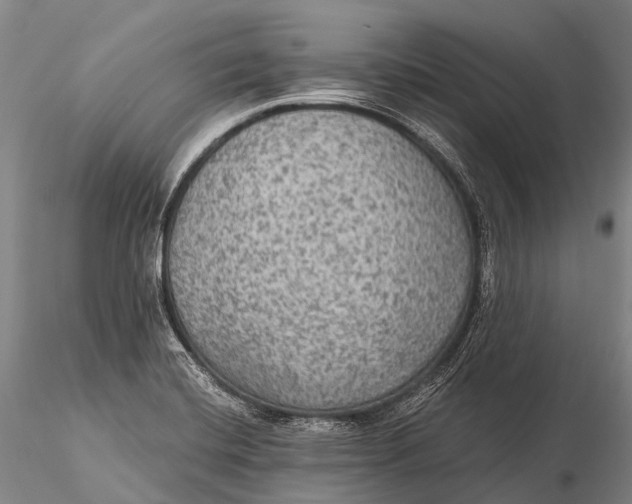 X0000115611420200912011540