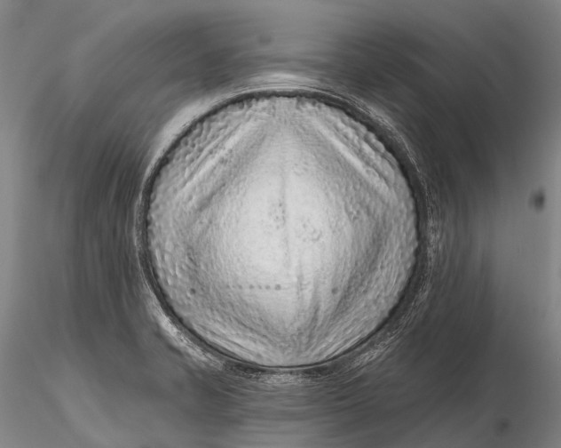 X0000115611421200912011540