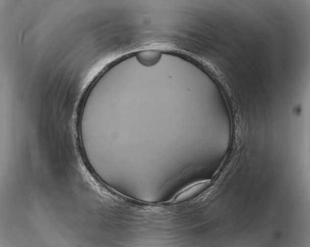 X0000115611422200912011540