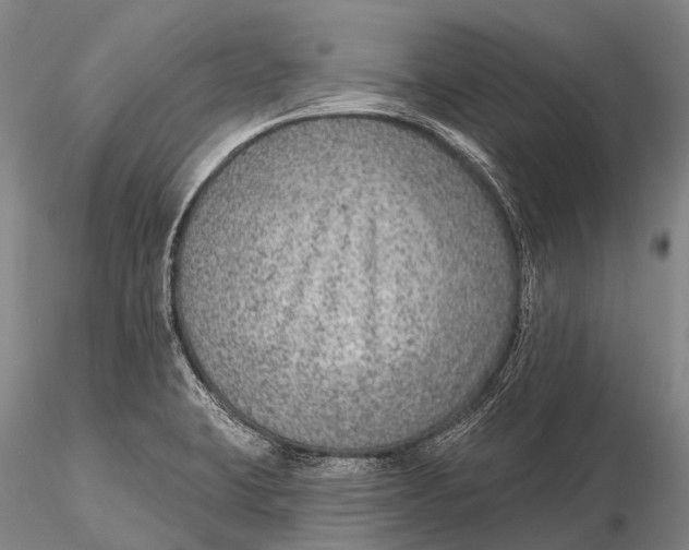 X0000115611423200912011540