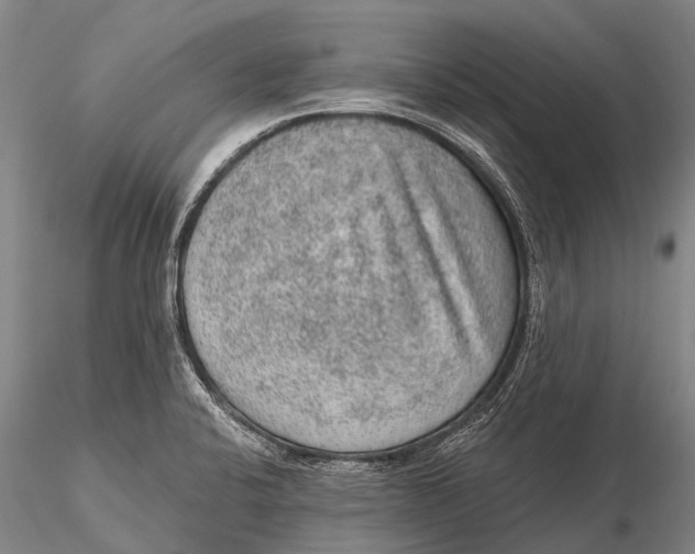 X0000115611424200912011540