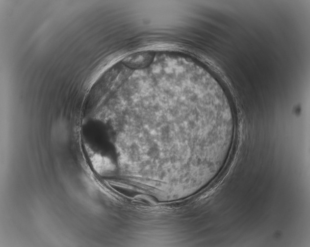 X0000115611425200912011540