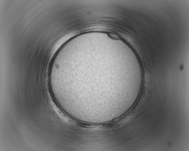 X0000115611426200912011540