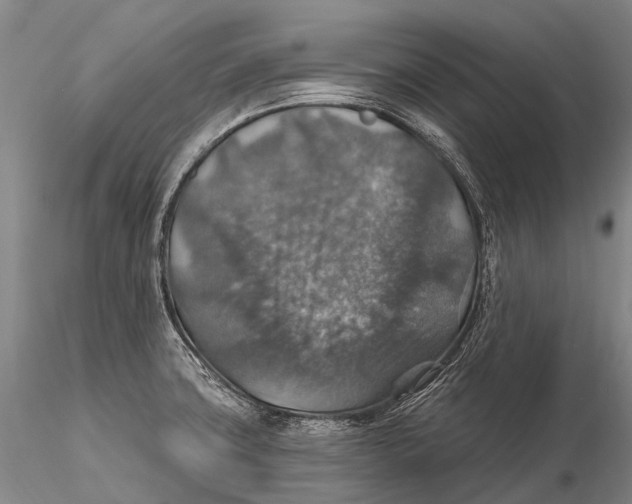 X0000115611427200912011540