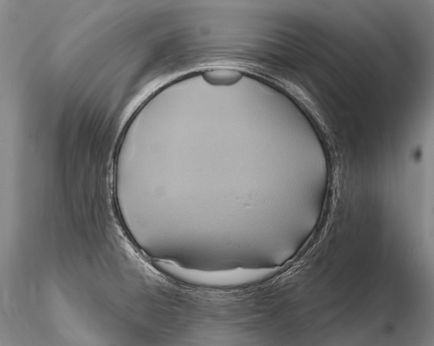 X0000115611428200912011540