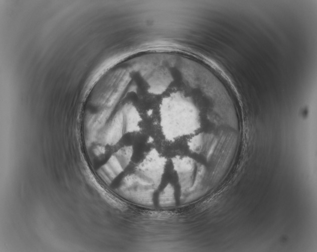 X0000115611429200912011540