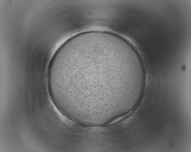 X0000115611430200912011540