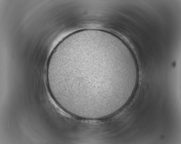 X0000115611432200912011540