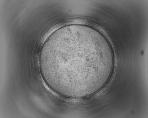 X0000115611433200912011540