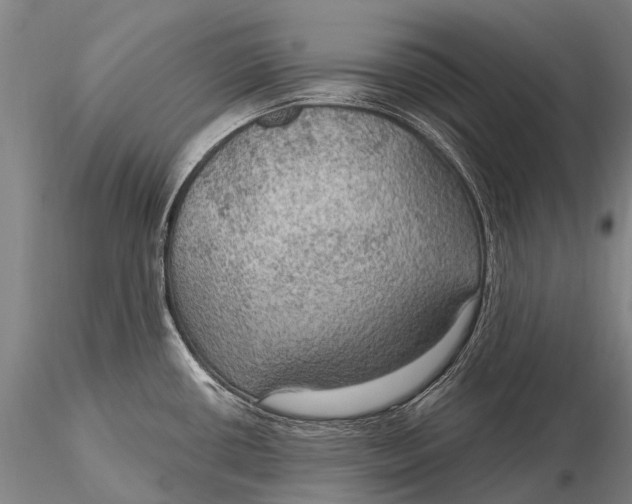 X0000115611434200912011540