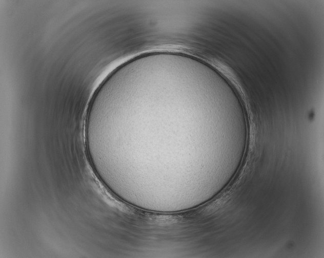 X0000115611436200912011540