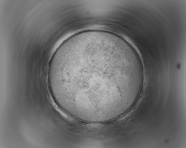 X0000115611437200912011540