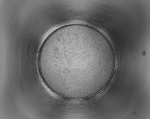 X0000115611438200912011540
