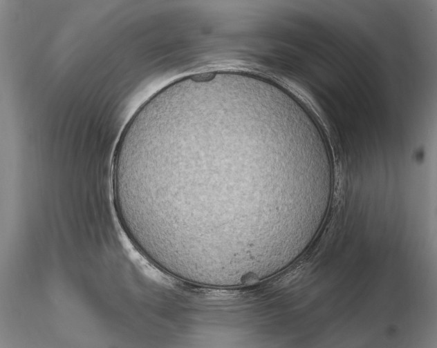 X0000115611439200912011540