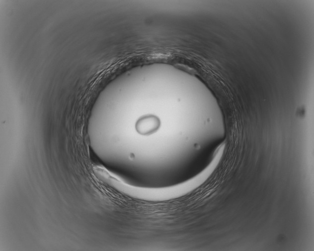 X0000115611441200912011539