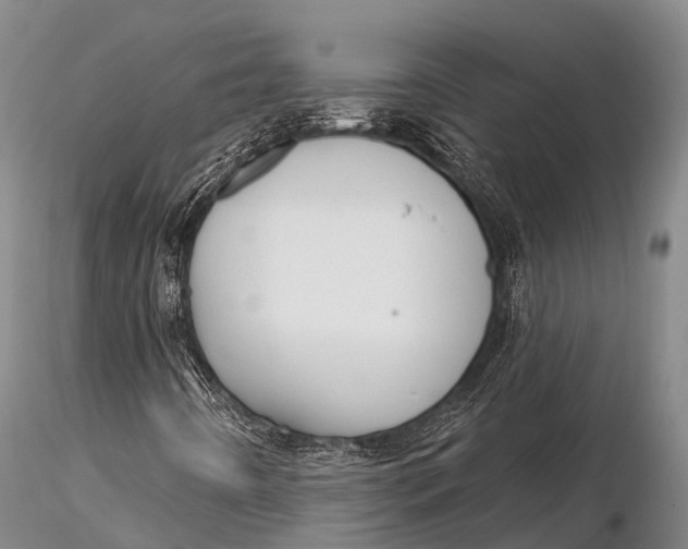 X0000115611442200912011539