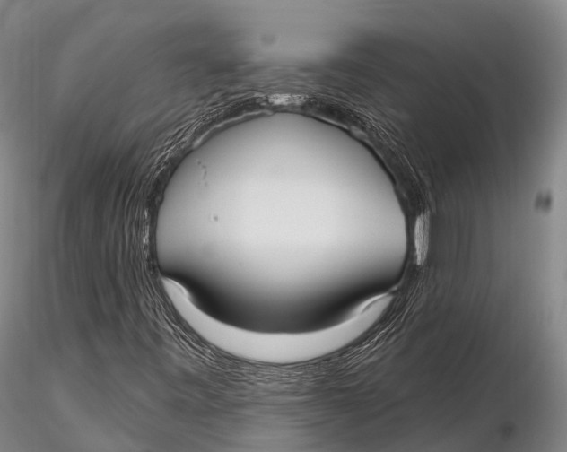 X0000115611443200912011539