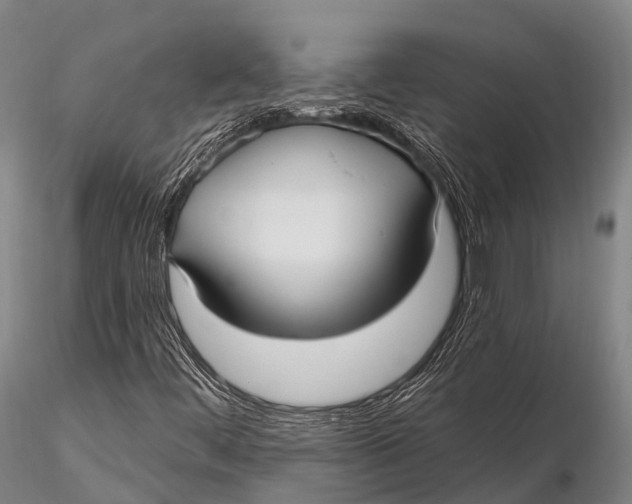 X0000115611444200912011539