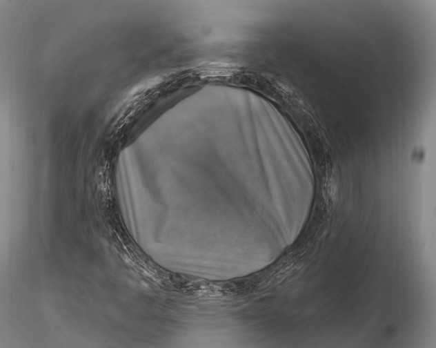 X0000115611445200912011539