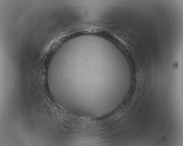 X0000115611447200912011539