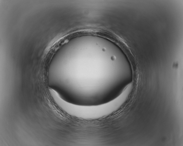 X0000115611448200912011539