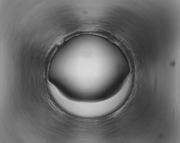 X0000115611449200912011539