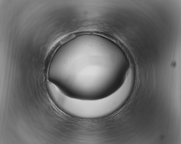 X0000115611452200912011539