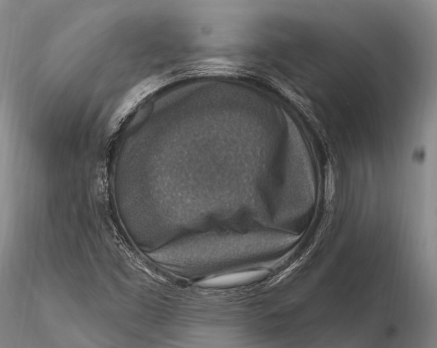 X0000115611453200912011539