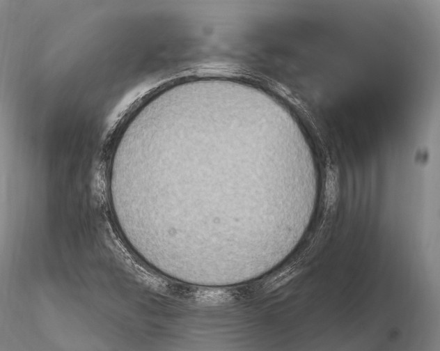 X0000115611454200912011539