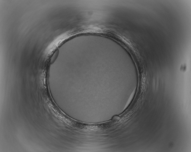X0000115611455200912011539