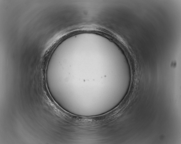 X0000115611456200912011539
