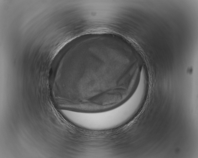 X0000115611457200912011539